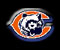 Bears