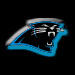 Panthers